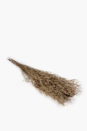 Natural Dried Filler Grass Bundle (Packet)