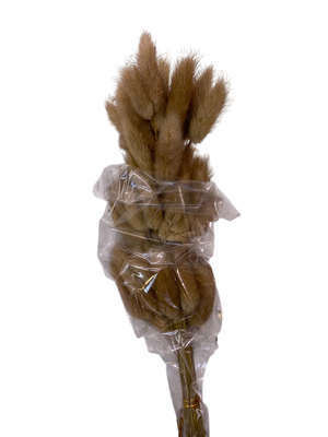 Premium Beige Bunny Tail Stems