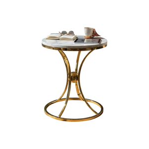 Modern Metallic SS Coffee Table