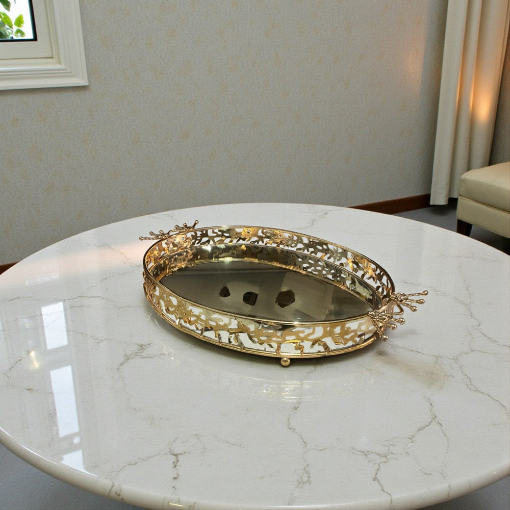 Storage & Interior Décor Enhancement  Tray