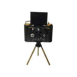 Metallic Vintage Camera Model