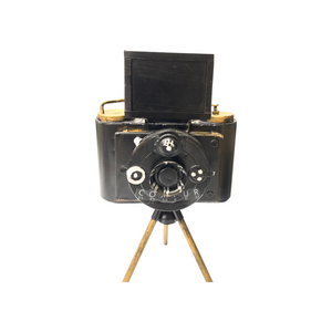 Metallic Vintage Camera Model