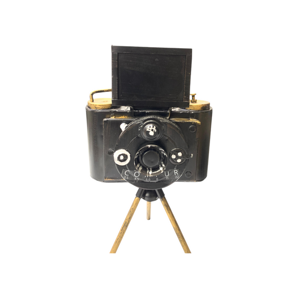 Metallic Vintage Camera Model