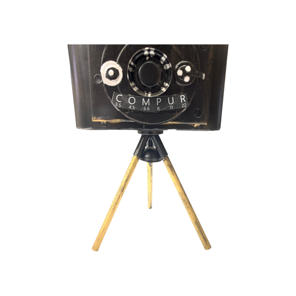 Metallic Vintage Camera Model