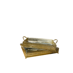 Lustrous Metallic Serving Tray