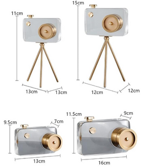 Crystal Vision Camera Decor Ornaments