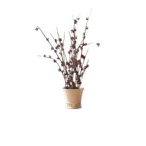 Peach Serenade Ceramic Vase