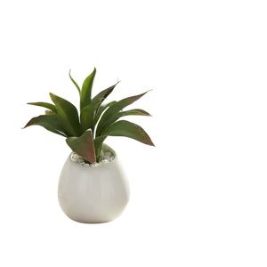 The Serenity Bloom Ceramic Accent Pot