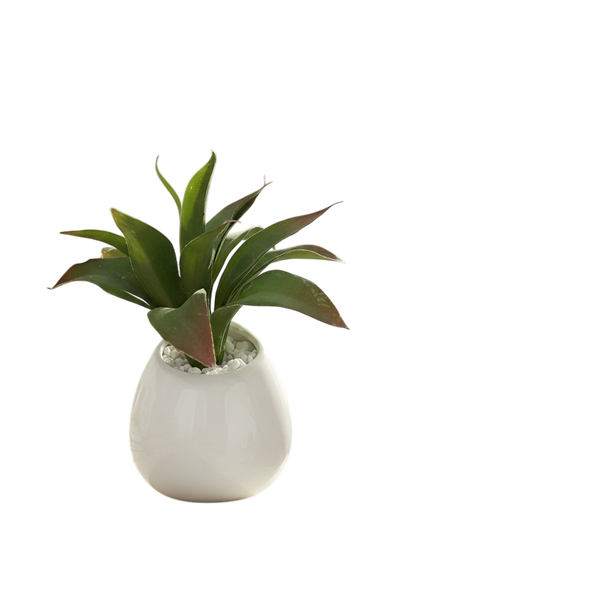 The Serenity Bloom Ceramic Accent Pot