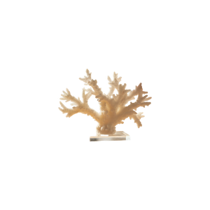 Handcrafted Decorative Fiber Accent with Crystal Base