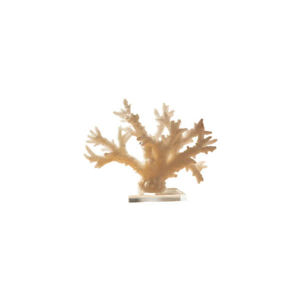 Handcrafted Decorative Fiber Accent with Crystal Base